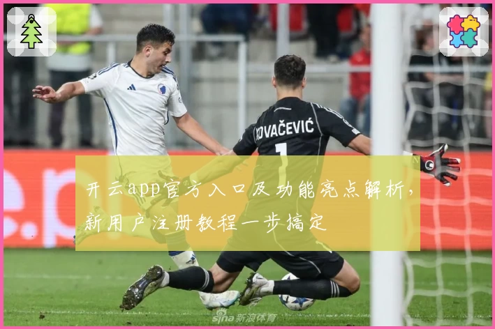 开云app官方入口及功能亮点解析，新用户注册教程一步搞定