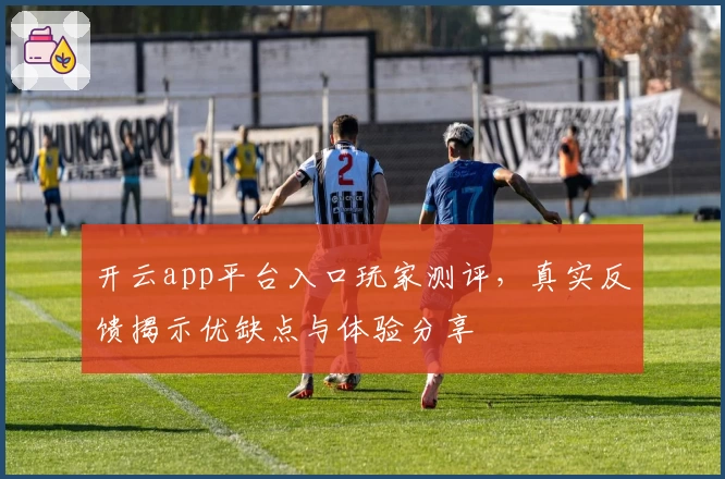 开云app平台入口玩家测评，真实反馈揭示优缺点与体验分享