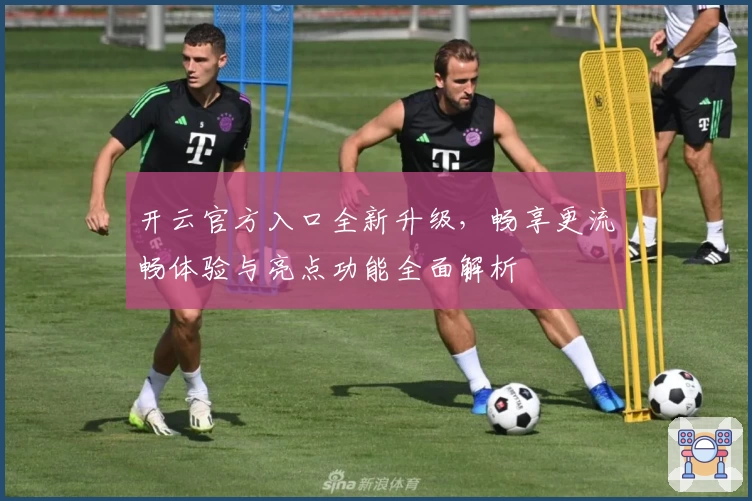 开云官方入口全新升级，畅享更流畅体验与亮点功能全面解析